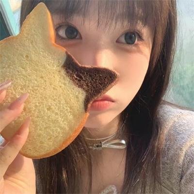 女鹿封面